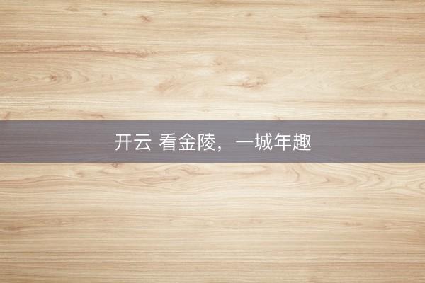 開云 看金陵,一城年趣